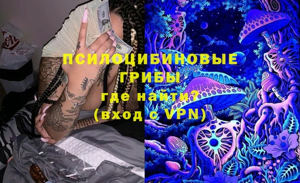 а пвп мука Рославль