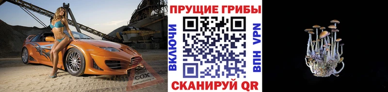 Купить  Фурманов  Псилоцибиновые грибы GOLDEN TEACHER 